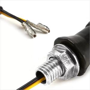 ขายส่งจากโรงงาน อุปกรณ์ตกแต่งรถจักรยานยนต์ในเอเชียตะวันออกเฉียงใต้ ไฟเลี้ยว LED 12V ใช้ได้กับรถทั่วไป - Product Image 2