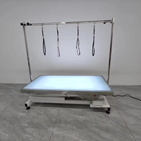 Table de toilettage électrique pour animaux de compagnie MT MEDICAL avec lumière LED, en acier inoxydable, étanche, pour hôpital vétérinaire, animalerie, grand chien