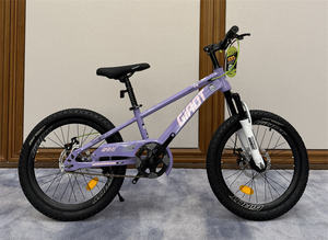 20 Inch China Popular Children <strong>Bike</strong> Student Road Bicycle Boys <strong>Girls</strong> Student Sports <strong>Bike</strong> <strong>for</strong> Children - Product Image 5