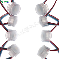 Lumière ponctuelle LED RGB à pixels DC 5V 20mm IP66 pour aménagement paysager avec corps de lampe en PVC, IRC 85 et durée de vie de 50 000 heures pour utilisation en extérieur/intérieur