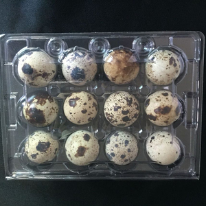 12 quail eggs plastic tray quail egg carton extra large quail egg carton jumbo