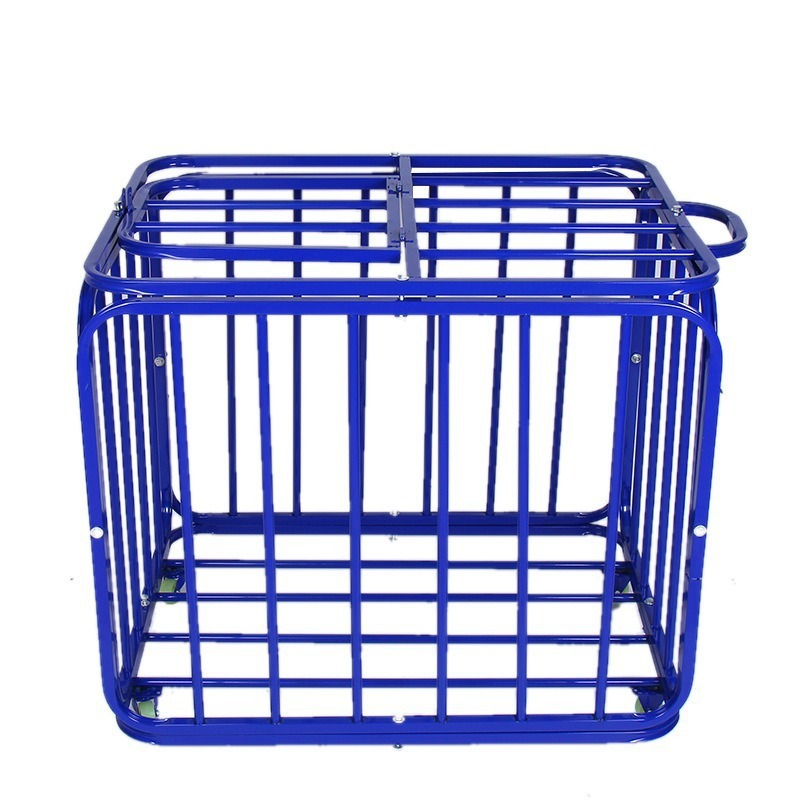Gym Sports Equipment Basketball Soccer Rugby