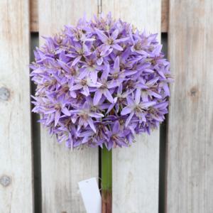 8 pouces de diamètre. Fleurs artificielles géantes d'<span class=keywords><strong>allium</strong></span> pour centre de table de jardin - Product Image 5