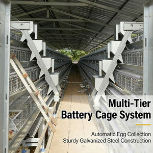 बड़ी क्षमता बहु-परत चिकन बैटरी पिंजरे विशेष रूप से डिजाइन किए गए प्रजनन फार्म के लिए उपयुक्त हैं। - Product Image 5