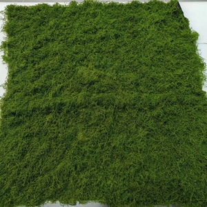 1M * 1M lumut hijau buatan rumput lumut plastik karpet lumut tanaman realistis lumut dinding untuk dekorasi - Product Image 4
