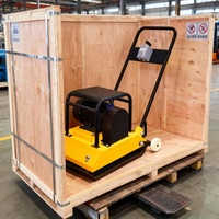Best Selling Plate Compactor Earth Soil Concrete Manual Push Plate Compactor Asphalt Road Compactors