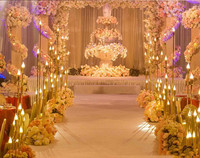 Décoration de Restaurant de mariage lumière de fond Guide de passerelle support de Dragon Ball en métal lumière Led