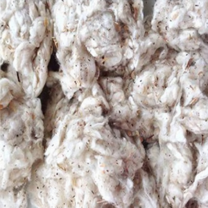 Residuos de Algodón Crudo Blanco, Residuos de Algodón Lickerin, Residuos de Algodón de Hilandería, Proveedor de Residuos de Algodón con los Mejores Precios - Sra. Florence - Product Image 1