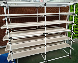 Greenhouse Hydroponic Microgreen Growing Fodder <b>Trays</b> Nursery Pot Barley Grass Hydroponic System - Product Image 6