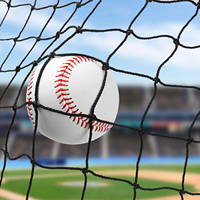 Filet de baseball de 2 mm, 10 x 20 pieds, pour cage de frappe, portable, durable, en PVC et HDPE, noir, avec manchon de protection