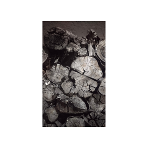 Charbon de bois premium fabriqué à partir de bois dur Offre une chaleur intense pour une expérience de barbecue au charbon noir idéale à chaque fois - Product Image 1