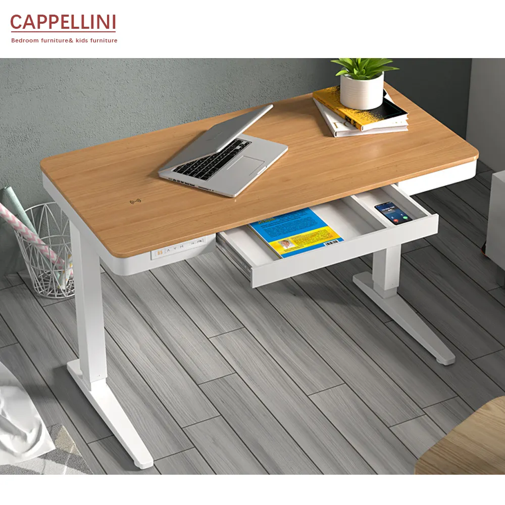 Mesa de Trabajo eléctrica de alta calidad, altura ajustable, escritorio de elevación, ergonómico, para estudio