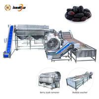 Industriële bessenontstammer-waslijn, groente- en fruitbelwasmachine, automatische bessenwasmachinelijn