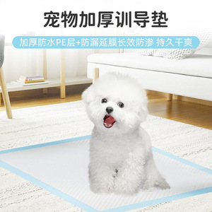 Pet Training <b>Pads</b> Thickened Absorbent <b>Waterproof</b> For Cats And Dogs 20 Pieces Pack - Product Image 2