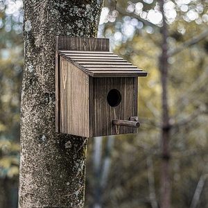 Kutup ile hava koşullarına dayanıklı ahşap kuş evi: ispinoz, Bluebird, Cardinals asılı bahçe yazlık tasarım için dayanıklı dış kuş evi - Product Image 2