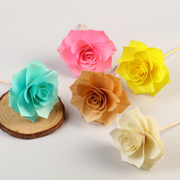 Vente en gros fait à la main en coton Sola en bois fleur roseaux diffuseur diffuseur de parfum stocké plantes décoratives