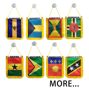 Mini 4 ''x 6'' Banderín estampado satinado América <span class=keywords><strong>Latina</strong></span> Guyana Bandera de coche - Product Image 4