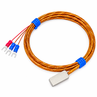 Sonde de température Pt100 à adsorption magnétique, tête de détection de surface, type patch d'aspiration, OEM, indice de protection IP65, garantie 1 an