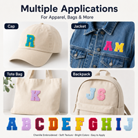 Parches de Chenilla con Letras de la A a la Z, Apliques Bordados para Ropa, Accesorios, Regalos y Reventa, Disponibles al por Mayor
