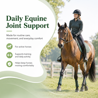 Service OEM/ODM : Supplément de Glucosamine pour Chevaux 5000, Poudre 16 Oz, Soutien pour la Santé des Hanches et des Articulations des Chevaux
