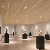 Panneau acoustique en laine de bois Qinsound sur mesure, à fixation cimentée, avec grille en T, pour plafond acoustique en laine de bois, idéal pour les galeries d'art, les salles d'exposition et les cafés.
