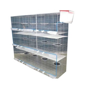 Jaula para Cría de <span class=keywords><strong>Palomas</strong></span> en <span class=keywords><strong>Venta</strong></span> - Product Image 1