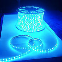 Bande LED flexible 10W/M AC110V AC220V IP65 SMD5050 60 LED/m