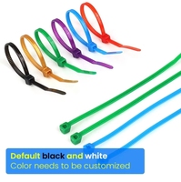 Attache-câble autobloquante colorée 2,5 * 80 mm, petite attache-câble, attache-câble en nylon personnalisée