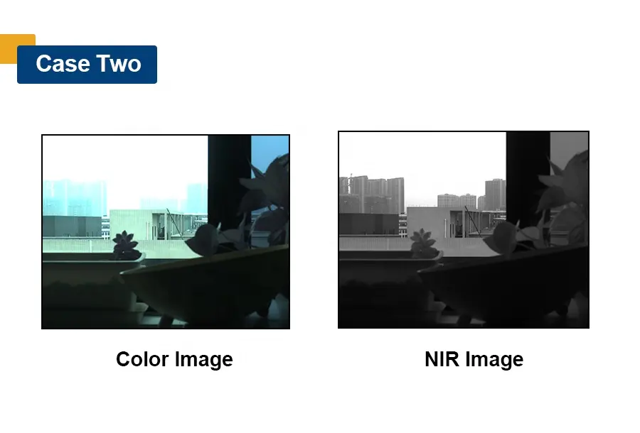 300-1000nmニアウェア赤外線1.3MP 75fps GigE CMOS CマウントNIR高速カメラ (半導体検出付き)