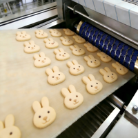 Ligne de production de machines à biscuits entièrement automatiques en acier inoxydable, alimentation gaz/électricité, capacité 100 kg/h pour céréales
