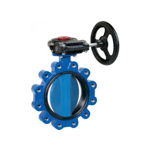 China Factory EPDM Seated Fully Lugged Cast Iron Gear Operated Centric Butterfly Valve