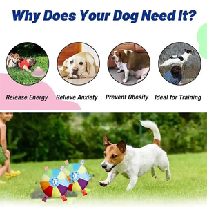 Köpek açık interaktif eğitim oyunları Bite dayanıklı çiğnemek oyuncak evcil komik uçan diskler oyuncaklar ile çan peluş Squeaker oyuncaklar - Product Image 5