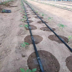 Ruban goutte-à-goutte en plastique <span class=keywords><strong>de</strong></span> haute qualité, nouveau matériau, <span class=keywords><strong>6</strong></span> hectares, pour l'irrigation agricole, usine, services OEM/ODM - Product Image 5