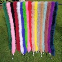Boas en plumes de marabout de 2 mètres de long 10g 20g 30g 40g Boas en plumes de dinde douce et moelleuse pour le bricolage Costume dansant Halloween