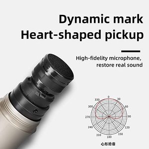 Depusheng GM4X Được Trang Bị 2 Micro Không Dây Tích Hợp <span class=keywords><strong>16</strong></span> Loại Hiệu Ứng Kỹ Thuật Số Bảng Điều Khiển Trộn 4 Chiều - Product Image 4