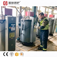 Chaudière à vapeur basse pression verticale automatique à gaz naturel/GPL 100 kg/h à un clic pour l'Afrique