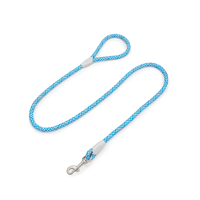 Laisse pour chien moderne, durable et flexible avec crochet, en nylon de haute qualité, idéale pour les promenades au parc et à la plage