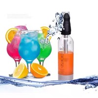 Machine Portable de fabrication de boissons mousseuses, co2, soda, saveur d'eau, avec bouteille pour animaux de compagnie, restaurant Twist'n