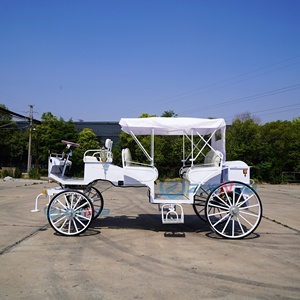 Simple White Electric Sightseeing Carriage/customized Electric Sightseeing Carriage Sells Well - Product Image 3