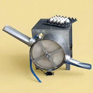 Machine à laver les œufs en acier inoxydable de qualité export, 1 voie, 2000 à 2200 œufs par heure, équipement avicole - Product Image 1