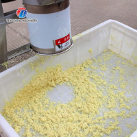 Gemakkelijk te onderhouden knoflookhakmachine, hygiënische commerciële knoflookpasta-machine, restaurantbenodigdheden industrie