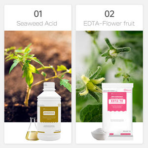 Agricultural <strong>Fertilizer</strong> Npk Water Soluble <strong>Fertilizer</strong> Application Guidance for <strong>Tomato</strong> - Product Image 3