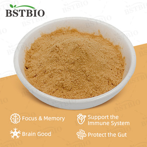 Fornitura di Fabbrica: Polvere di Fungo Criniera di Leone 100% Pura, Estratto di Criniera di Leone per Integratori Alimentari - Product Image 6