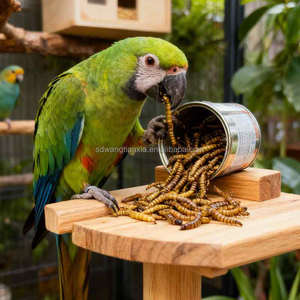 หนอนข้าวบาร์เลย์ถนอมสภาพได้นาน |   อาหารแมลงเพื่อสุขภาพสำหรับสัตว์เลื้อยคลานและ<span class=keywords><strong>ปลา</strong></span> - Product Image 3