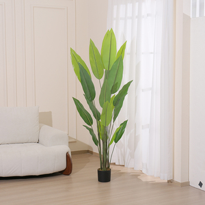 Cây Máu Rồng và cây giả cao làm đồ trang trí văn phòng đẹp - Product Image 2