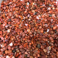 Offre Spéciale : Gravier de Cornaline Naturelle Polie, Copeaux de Cornaline de Haute Qualité pour la Décoration
