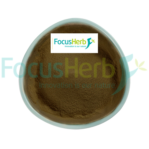 Focusherb ผงโพลีแซคคาไรด์สารสกัดจาก Poria cocos เกรดอาหาร30% สารสกัดจากสมุนไพรที่ผ่านการทดสอบด้วยรังสียูวี9001 ISO - Product Image 3