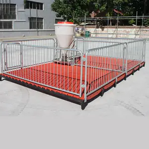 Factory Direct Sail Poultry And Animal Husbandry Pig Farm Equipment Nursery Pig Crate Piglet Stall Group Cage