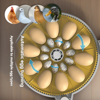 Incubateur automatique pour 10 œufs avec retournement automatique, contrôle de la température et de l'humidité, pour poulets, canards, cailles, pigeons, usage domestique et agricole