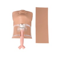 Simulador de Cricotirotómia para Práctica de Incisión y Sutura, Modelo Avanzado para Simulación de Punción de la Membrana Cricotiroidea y Traqueotomía